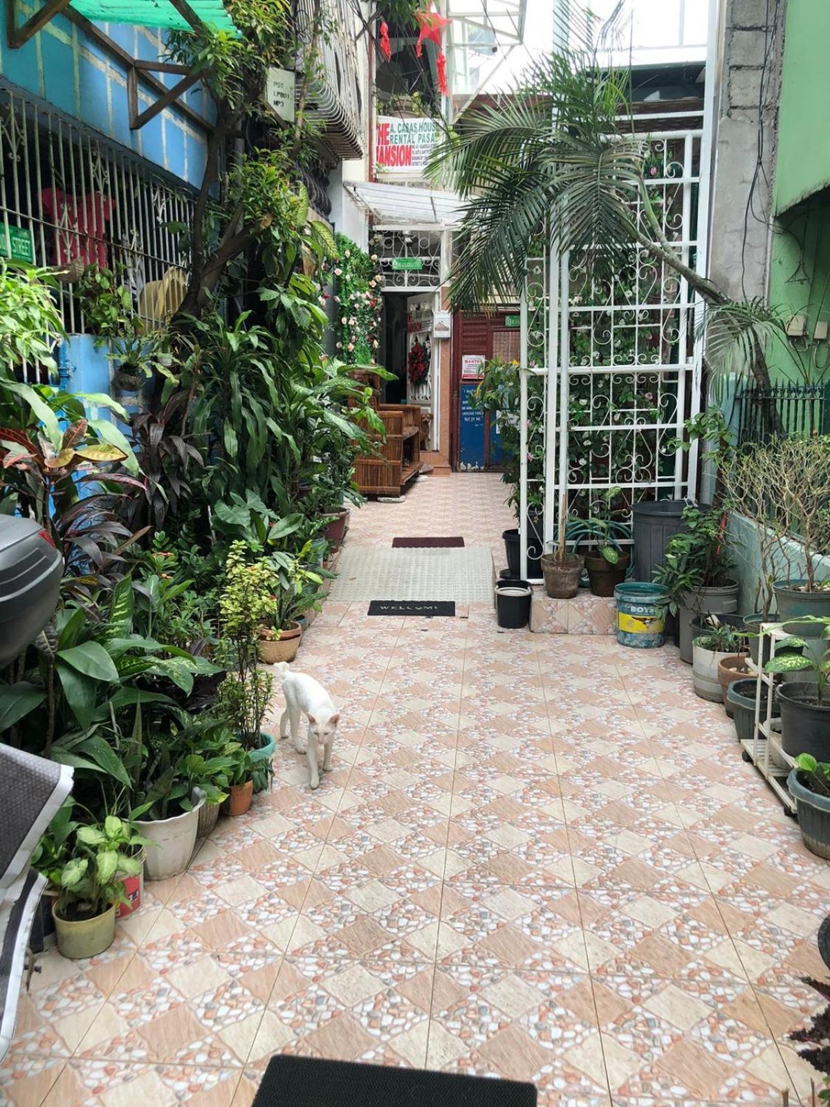 The Mansion - Backpackers Near Airport Διαμέρισμα Μανίλα Εξωτερικό φωτογραφία